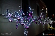 IMG_0782