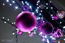 IMG_0784