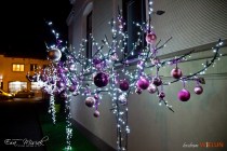 IMG_0791