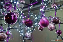 IMG_0793