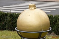IMG_0990