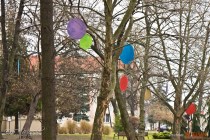 IMG_1034