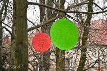 IMG_1036
