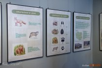 IMG_2065