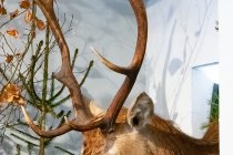 IMG_2080