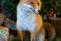 IMG_2128