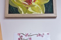 IMG_2669