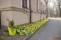 IMG_3869