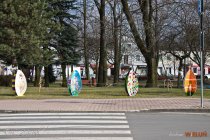 IMG_3904