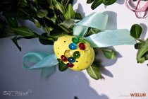 IMG_3933