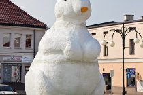 IMG_3948