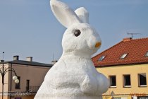 IMG_3954