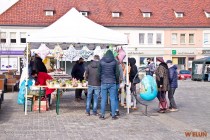 IMG_4220