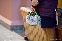 IMG_4461