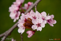 IMG_5480