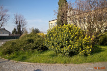 IMG_6558