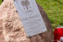 IMG_5085