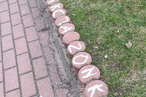 174727470_3869548126456803_3415175996529430338_n