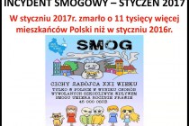 Przechwytywanie.16JPG
