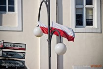 IMG_6320