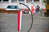 IMG_6330