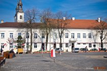 IMG_6383