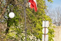 IMG_6429