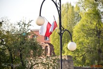 IMG_6555
