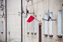 IMG_6770