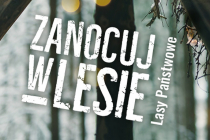 grafika_fanpage_820x312px