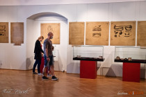 IMG_7929