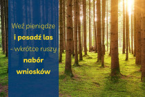 Wez-pieniadze-i-posadz-las-–-wkrotce-ruszy-nabor-wnioskow-informacja-prasowa