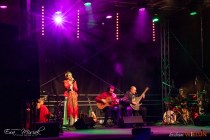 IMG_2546