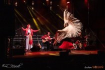 IMG_2633