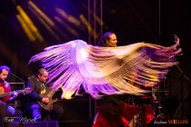 IMG_2645