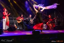 IMG_2661