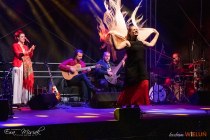 IMG_2665