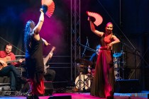 IMG_2880