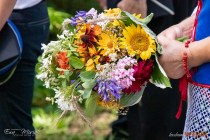 IMG_8546