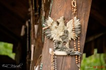 IMG_8572