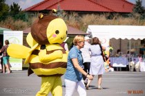 IMG_5952