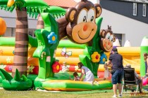 IMG_6010
