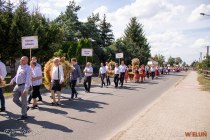 IMG_8031
