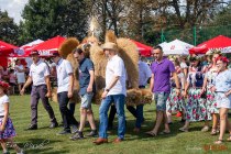 IMG_8058