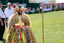 IMG_8076