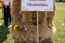 IMG_8079
