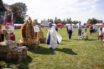 IMG_8265
