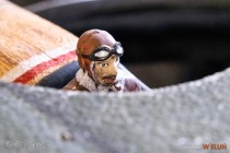 IMG_6624
