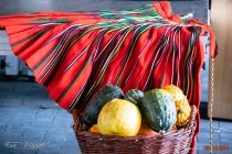 IMG_8874