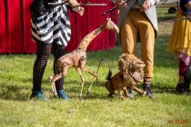 IMG_9388